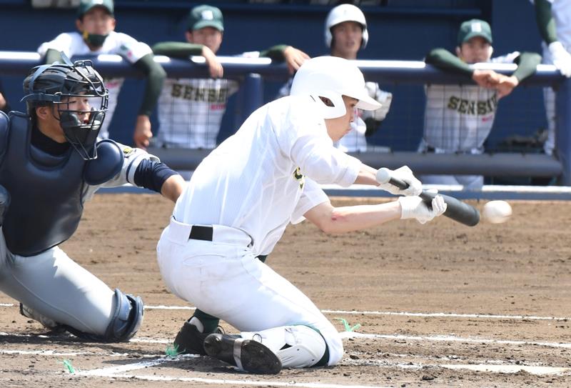 春季千葉県高校野球大会決勝でプレーする選手＝千葉市稲毛区