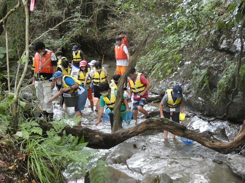 川をさらって生き物を探す子どもたち＝睦沢町佐貫