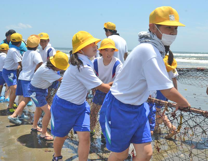 地引き網を体験する豊海小の児童ら=16日、九十九里町