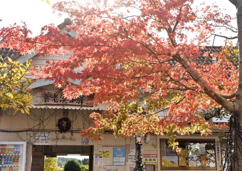養老渓谷駅(イメージ写真)