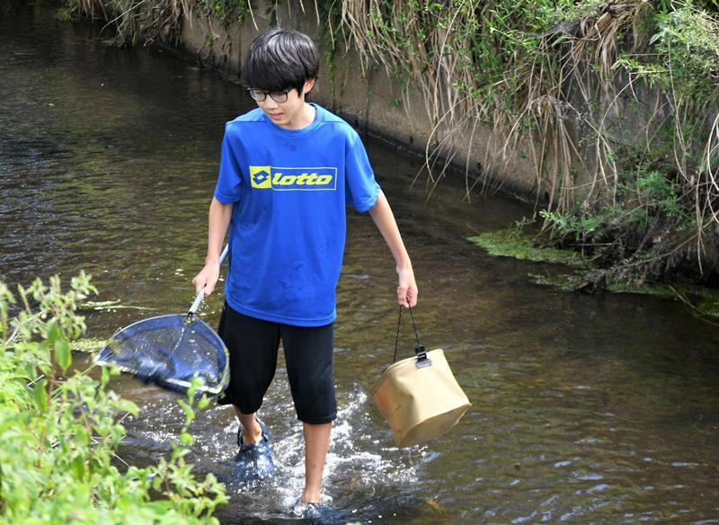 たも網を持って高谷川に生息する魚などの生き物を探す萩原さん=8月下旬、芝山町