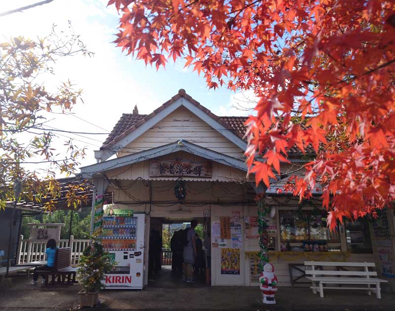 紅葉が見頃を迎えた養老渓谷駅前＝市原市