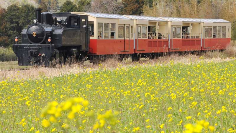 小湊鉄道のトロッコ列車＝２２年３月