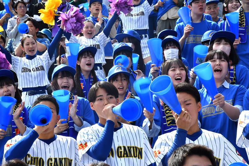 選手たちに声援を送る中央学院の応援席=30日、兵庫県西宮市の甲子園球場