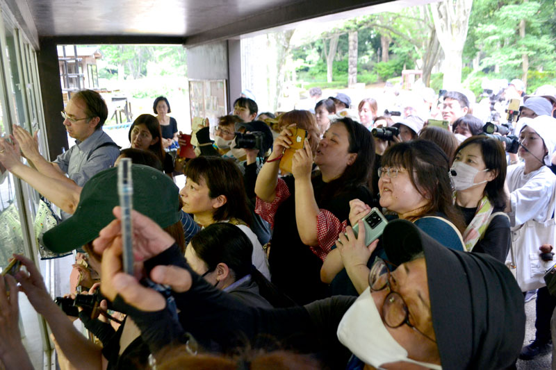 風太の食事の様子を画面越しに眺める来園者たち＝５日、千葉市若葉区の千葉市動物公園