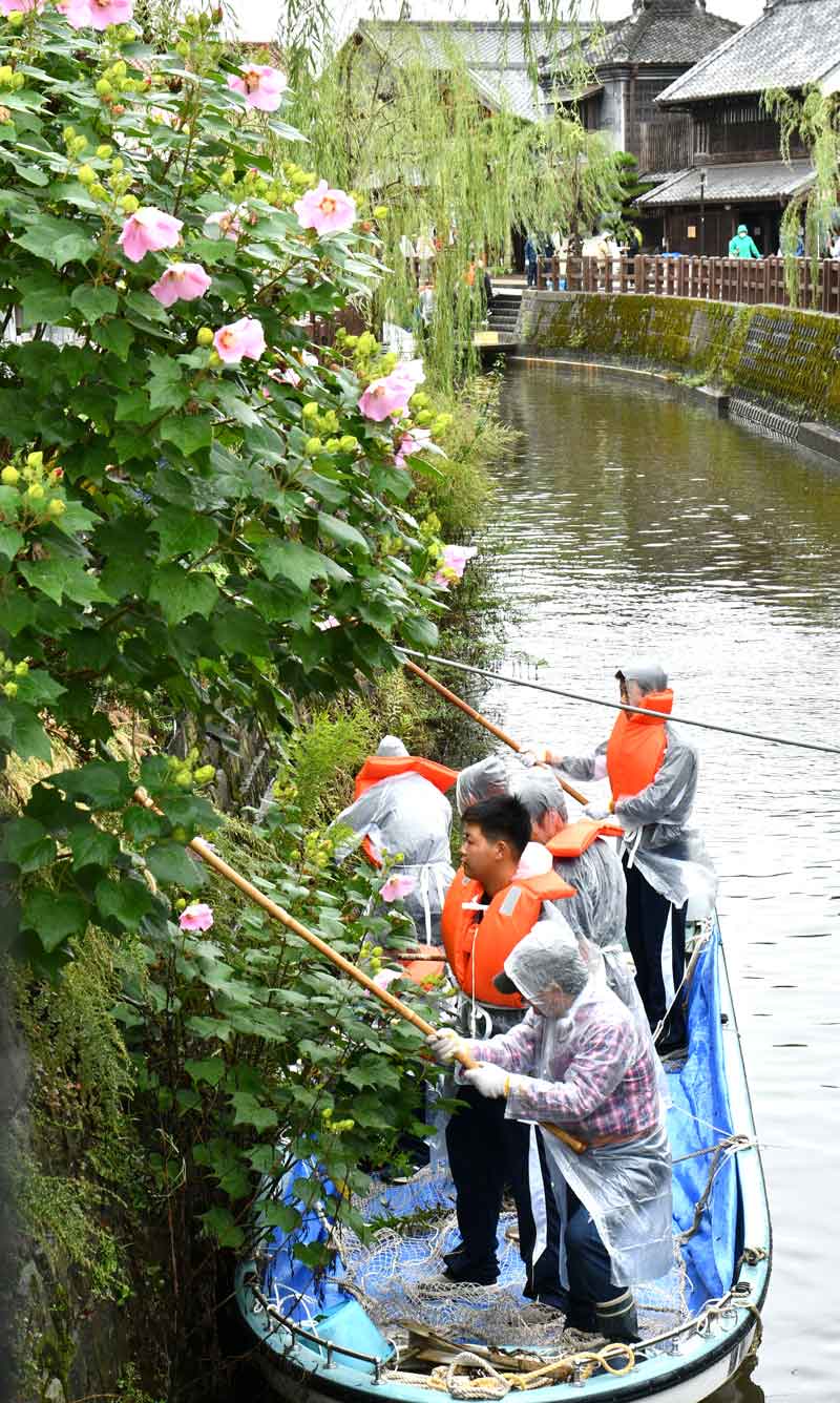 佐原の大祭秋祭りを前に、小野川の清掃を行う高校生ら＝香取市