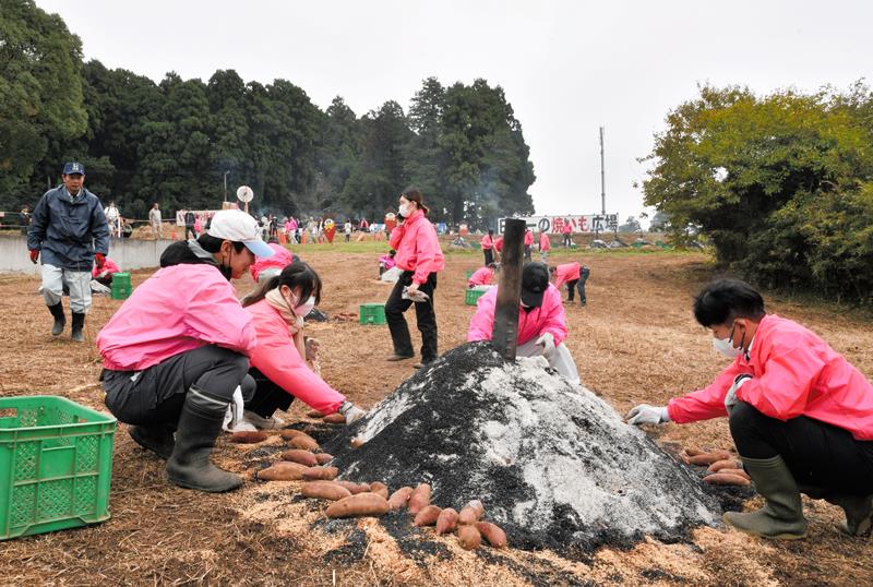 焼き芋の準備するスタッフら