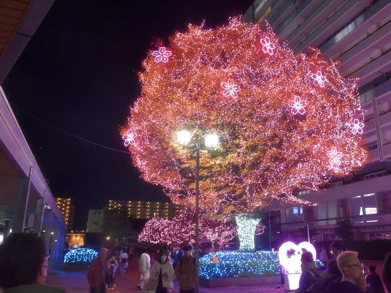 北総線千葉ニュータウン中央駅周辺で始まった沿線最大級のイルミネーションイベント「イルミライ★ＩＮＺＡＩ」＝３０日夕、印西市