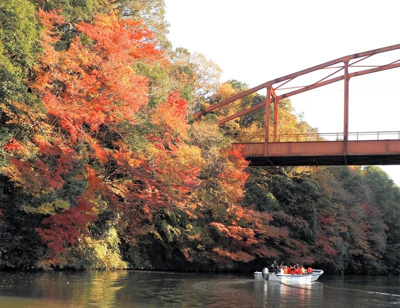 鮮やかに彩られた亀山湖畔。湖上でしか味わえない紅葉スポットへ＝４日、君津市