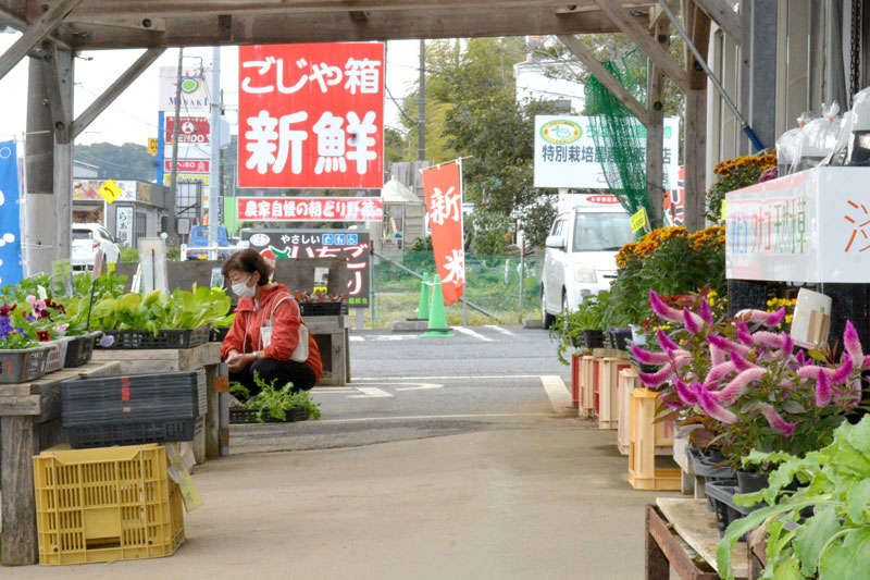 店頭には季節の草花の苗が売られている