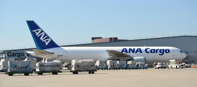 2024年の輸出額が過去最高となった成田空港の貨物ビル前に駐機される貨物専用機=同年8月、成田市