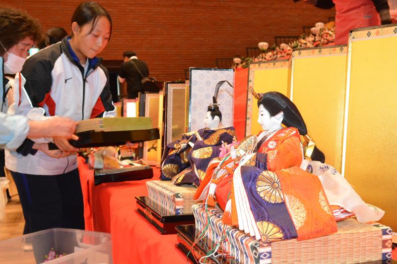 ひな人形を飾り付ける勝浦中の生徒ら=20日、勝浦市