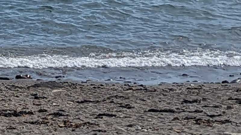 ※写真はイメージ