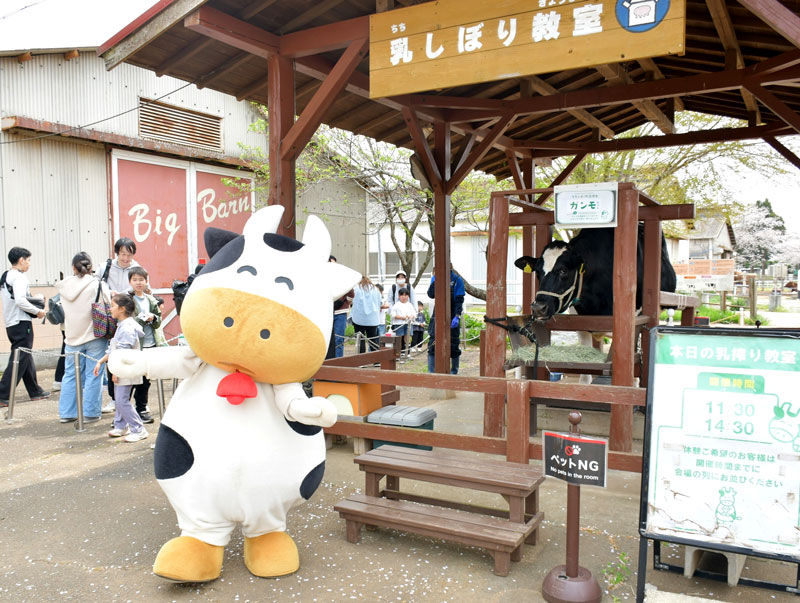 牛などの動物との触れ合いが楽しめる成田ゆめ牧場=成田市