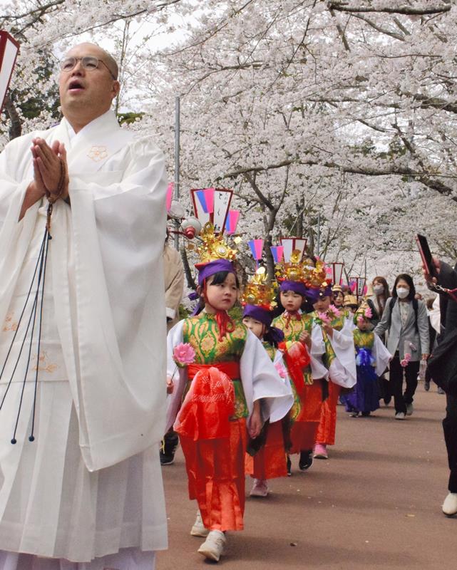 満開の桜の下を練り歩く子どもたち=6日、茂原市の茂原公園