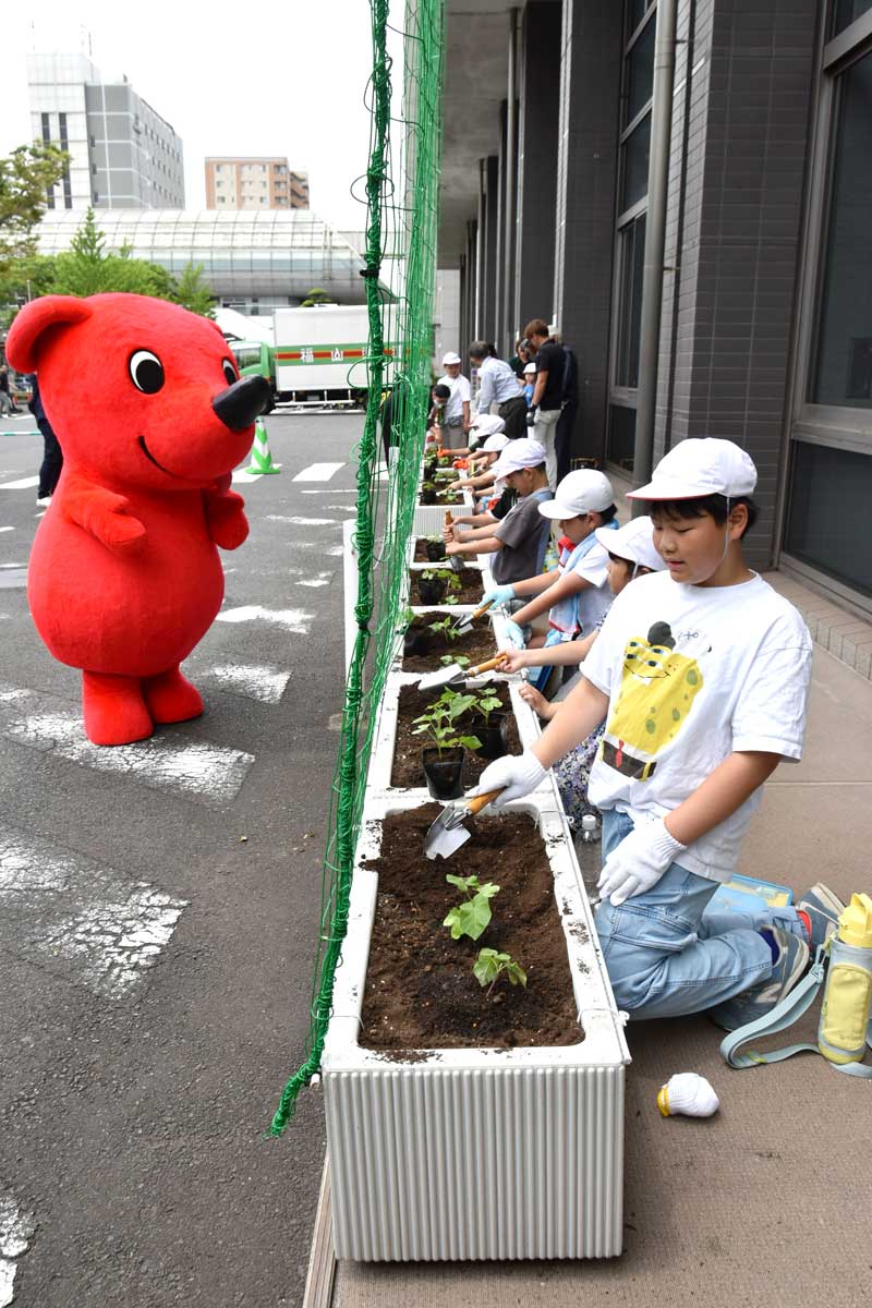 「緑のカーテン」の設置へアサガオの苗を植える寒川小の児童＝２９日、県庁中庁舎前
