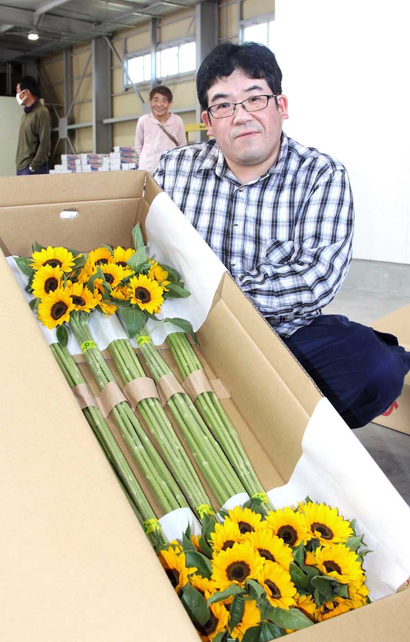 箱詰めされた「西岬のひまわり」を掲げる和代部会長＝５日、館山市