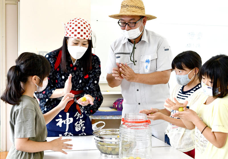 梅干し作りに挑戦する児童たち＝２３日、神崎町